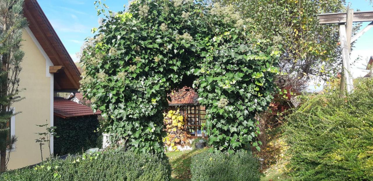 Anna'S Home - Ferienwohnungen Ratsch an der Weinstraße Екстериор снимка